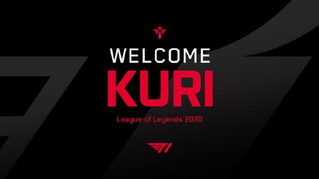 化学反应也 化学反应也