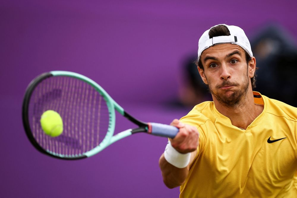 范尼的执教 范尼的执教